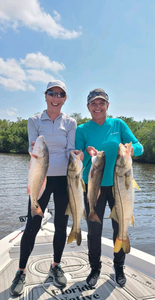 Snook In Everglades City Fishing Charters